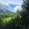 nicolenicole701